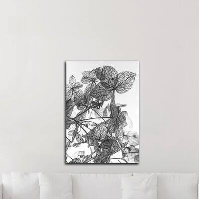 &Leaf Composition& by Design Fabrikken - Photograph Print on Canvas Latitude Run Size: 28x22 H x 20x22 W x 1.5x22 D BAG8_F9TKU33